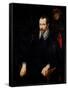 Portrait of Niccolo Pallavicino Painting by Pierre Paul (Pierre-Paul) Rubens (Or Peter Paul or Petr-Peter Paul Rubens-Framed Stretched Canvas
