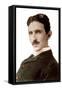 Portrait of Nikola Tesla (1856-1943) (Nikolaj) - Croatian-Born Serb Engineer, Physicist and Invento-Napoleon Sarony-Framed Stretched Canvas