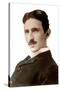 Portrait of Nikola Tesla (1856-1943) (Nikolaj) - Croatian-Born Serb Engineer, Physicist and Invento-Napoleon Sarony-Stretched Canvas