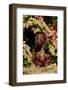 Portrait of Onghair Dachshund Emerging under Autumn Leaves of Burning Bush, Putnum-Lynn M^ Stone-Framed Photographic Print