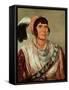 Portrait of Osceola (1804-38)-George Catlin-Framed Stretched Canvas