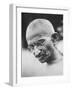 Portrait of Pacifist and Advocate of India's Independence from Great Britain, Mohandas Gandhi-null-Framed Premium Photographic Print