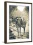 Portrait of Pack Mule at Phantom Ranch, Grand Canyon National Park, Arizona-Justin Bailie-Framed Photographic Print