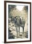 Portrait of Pack Mule at Phantom Ranch, Grand Canyon National Park, Arizona-Justin Bailie-Framed Photographic Print