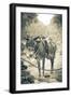 Portrait of Pack Mule at Phantom Ranch, Grand Canyon National Park, Arizona-Justin Bailie-Framed Photographic Print