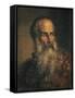 Portrait of Painter Paolo Veronese-Lattanzio Querena-Framed Stretched Canvas