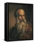 Portrait of Painter Paolo Veronese-Lattanzio Querena-Framed Stretched Canvas