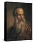 Portrait of Painter Paolo Veronese-Lattanzio Querena-Framed Stretched Canvas