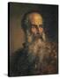 Portrait of Painter Paolo Veronese-Lattanzio Querena-Stretched Canvas