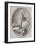 Portrait of Phillis Wheatley (circa 1753-84)-null-Framed Giclee Print