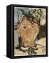 Portrait of Picasso, 1915-Amedeo Modigliani-Framed Stretched Canvas