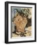 Portrait of Picasso, 1915-Amedeo Modigliani-Framed Giclee Print