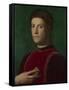 Portrait of Piero De' Medici (The Gout), Ca 1550-1565-Agnolo Bronzino-Framed Stretched Canvas