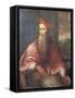 Portrait of Pietro Bembo, 1545-Titian (Tiziano Vecelli)-Framed Stretched Canvas
