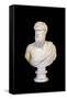 Portrait of Plato (marble)-Roman-Framed Stretched Canvas