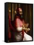 Portrait of Pope Clement VII-Giuliano Bugiardini-Framed Stretched Canvas