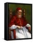 Portrait of Pope Julius II-Raphael-Framed Stretched Canvas