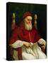 Portrait of Pope Julius II-Raphael-Stretched Canvas