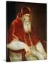 Portrait of Pope Paul III Farnese, 1543-Titian (Tiziano Vecelli)-Stretched Canvas