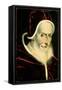 Portrait of Pope Pius V (Michele Ghislieri) (1504-72) 1576-80-Scipione Pulzone-Framed Stretched Canvas