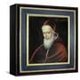 Portrait of Pope Pius V-null-Framed Stretched Canvas