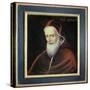 Portrait of Pope Pius V-null-Stretched Canvas