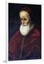 Portrait of Pope Pius V-null-Framed Giclee Print