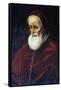 Portrait of Pope Pius V-null-Framed Stretched Canvas