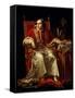 Portrait of Pope Pius VII, 1817-Jean Baptiste Joseph Wicar-Framed Stretched Canvas