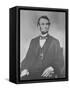 Portrait of President Abraham Lincoln-Stocktrek Images-Framed Stretched Canvas