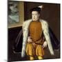 Portrait of Prince Don Carlos by Alonso Sanchez Coello-null-Mounted Giclee Print