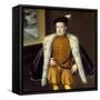 Portrait of Prince Don Carlos by Alonso Sanchez Coello-null-Framed Stretched Canvas
