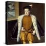 Portrait of Prince Don Carlos by Alonso Sanchez Coello-null-Stretched Canvas