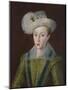 Portrait of Prince Henry Frederick, Prince of Wales-Robert Richardson the Elder-Mounted Giclee Print