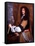 Portrait of Prince Rupert of the Rhine, C.1665-Sir Peter Lely-Framed Stretched Canvas