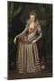 Portrait of Princess Anne Catherine of Brandenburg (1575-1612), queen of Denmark and Norway-null-Mounted Giclee Print