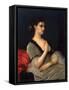 Portrait of Princess Elizabeth Vorontsova-Dashkova, 1873-Alexandre Cabanel-Framed Stretched Canvas