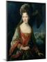 Portrait of Princess Louise-Hippolyte-Jean-Baptiste van Loo-Mounted Giclee Print