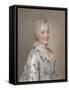 Portrait of Princess Maria Josepha of Saxony, 1749-Jean-Étienne Liotard-Framed Stretched Canvas