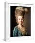 Portrait of Princess Natalya Petrovna Galitzine (1741-183), 1777-Alexander Roslin-Framed Giclee Print