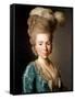 Portrait of Princess Natalya Petrovna Galitzine (1741-183), 1777-Alexander Roslin-Framed Stretched Canvas