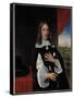 Portrait of Professor Franciscus Van Schooten, 1656 (Oil on Canvas)-Phillips de Koninck-Framed Stretched Canvas