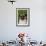 Portrait of Pug in Bleeding-Hearts, Rockton, Illinois, USA-Lynn M^ Stone-Framed Photographic Print displayed on a wall