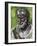 Portrait of Pythagoras (Samos, 570 Bc-Metaponto, 495 BC), Greek Philosopher and Mathematician-null-Framed Giclee Print