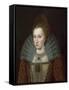 Portrait of Queen Anne of Denmark-null-Framed Stretched Canvas