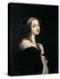 Portrait of Queen Christina of Sweden (1626-168), C. 1650-David Beck-Stretched Canvas