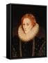 Portrait of Queen Elizabeth I (1533-1603)-Marcus Gheeraerts-Framed Stretched Canvas