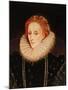 Portrait of Queen Elizabeth I (1533-1603)-Marcus Gheeraerts-Mounted Giclee Print