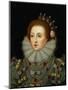 Portrait of Queen Elizabeth I (1533-1603)-Nicholas Hilliard-Mounted Giclee Print