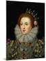 Portrait of Queen Elizabeth I (1533-1603)-Nicholas Hilliard-Mounted Giclee Print